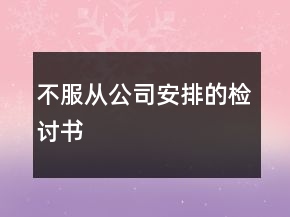 不服從公司安排的檢討書