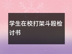 學(xué)生在校打架斗毆檢討書