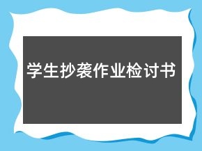 學(xué)生抄襲作業(yè)檢討書