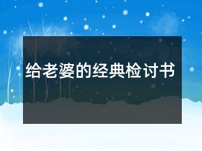 給老婆的經(jīng)典檢討書