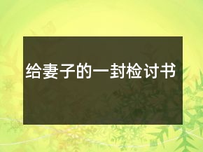 給妻子的一封檢討書