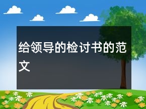 給領(lǐng)導(dǎo)的檢討書的范文