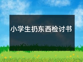 小學(xué)生扔?xùn)|西檢討書(shū)