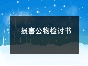 損害公物檢討書
