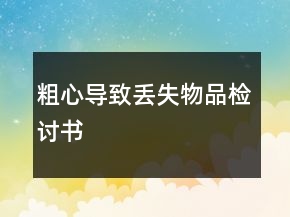 粗心導(dǎo)致丟失物品檢討書(shū)