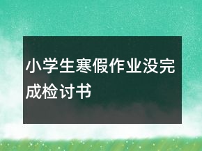 小學(xué)生寒假作業(yè)沒完成檢討書