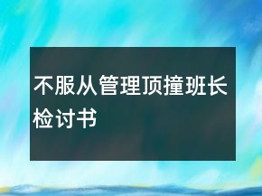 不服從管理頂撞班長檢討書