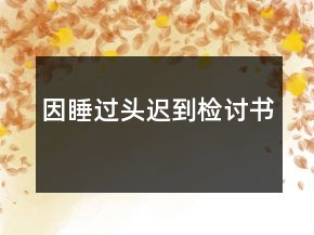 因睡過頭遲到檢討書