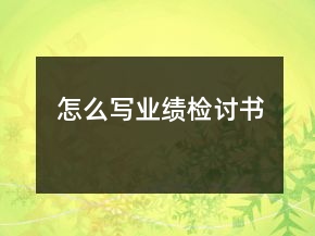 怎么寫(xiě)業(yè)績(jī)檢討書(shū)