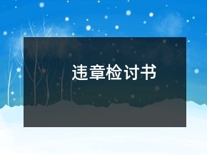 違章檢討書
