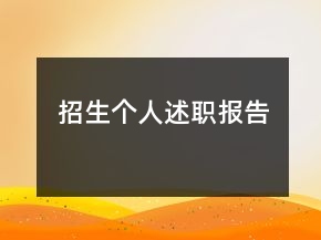 招生個人述職報告