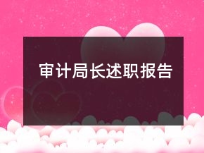 審計局長述職報告