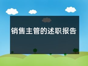 銷售主管的述職報告