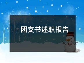 團(tuán)支書述職報(bào)告
