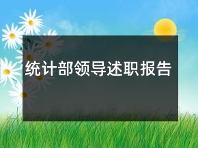 統(tǒng)計(jì)部領(lǐng)導(dǎo)述職報(bào)告