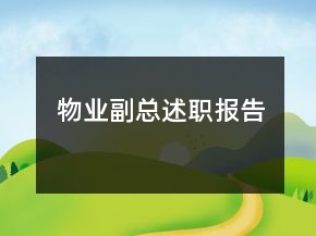 物業(yè)副總述職報(bào)告