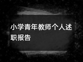 小學(xué)青年教師個(gè)人述職報(bào)告