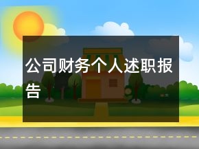 公司財務(wù)個人述職報告