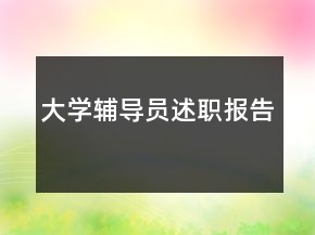 大學輔導員述職報告