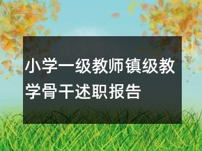 小學(xué)一級(jí)教師鎮(zhèn)級(jí)教學(xué)骨干述職報(bào)告