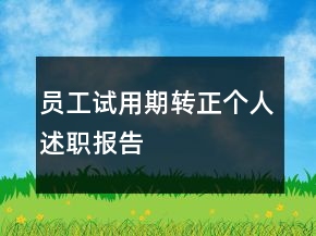 員工試用期轉(zhuǎn)正個(gè)人述職報(bào)告