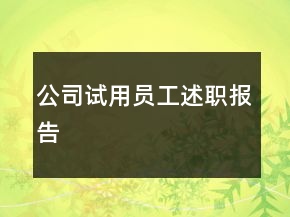 公司試用員工述職報告