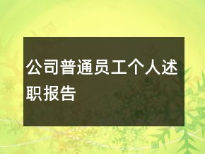 公司普通員工個人述職報告