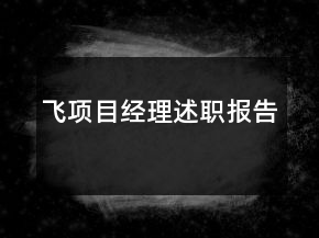 飛項目經(jīng)理述職報告