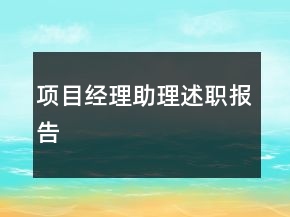 項目經(jīng)理助理述職報告