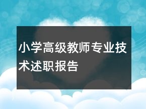 小學(xué)高級教師專業(yè)技術(shù)述職報告