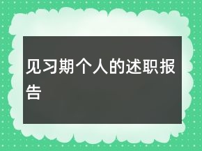 見習期個人的述職報告