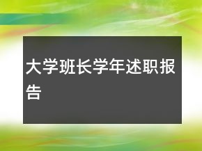 大學(xué)班長學(xué)年述職報告