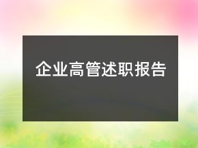 企業(yè)高管述職報告