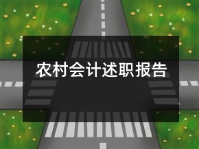 農村會計述職報告