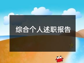 綜合個人述職報告