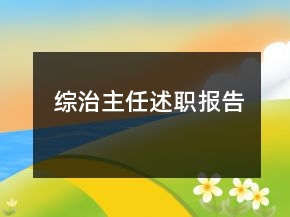 綜治主任述職報告
