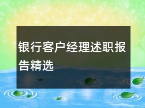 銀行客戶經(jīng)理述職報告精選