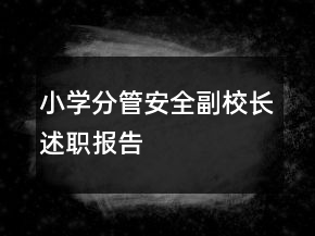 小學(xué)分管安全副校長(zhǎng)述職報(bào)告