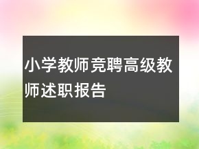 小學教師競聘高級教師述職報告