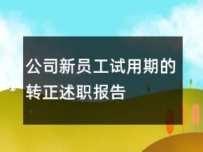 公司新員工試用期的轉(zhuǎn)正述職報(bào)告
