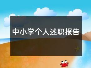 中小學(xué)個(gè)人述職報(bào)告