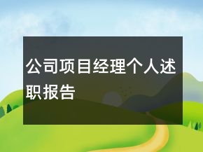 公司項目經(jīng)理個人述職報告