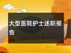 大型醫(yī)院護士述職報告