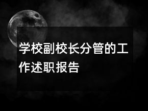 學校副校長分管的工作述職報告
