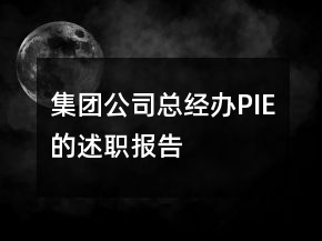 集團(tuán)公司總經(jīng)辦PIE的述職報(bào)告