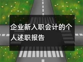 企業(yè)新入職會(huì)計(jì)的個(gè)人述職報(bào)告