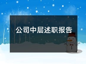 公司中層述職報告