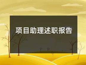 項目助理述職報告