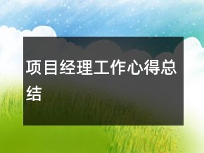 項(xiàng)目經(jīng)理工作心得總結(jié)
