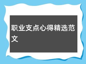 職業(yè)支點(diǎn)心得精選范文
